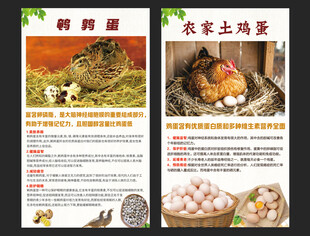 土鸡蛋鹌鹑蛋海报