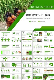 绿色生态农家鸡舍家禽养殖PPT