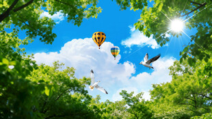 蓝天白云森林仰望