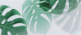 雾气磨砂膜效果绿植贴图