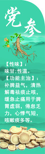 党参陇西中药材展示及功效介绍