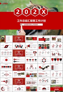 动物园工作总结保护野生动物