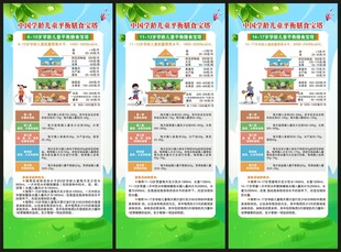 中国学龄儿童平衡膳食宝塔展架