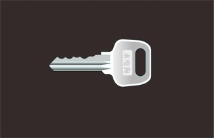 卡通 水电井钥匙