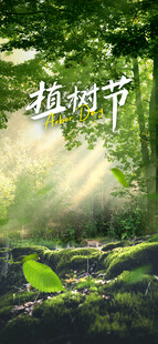 植树节阳光洒落的绿意植树节场景