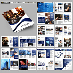 大气律师事务所画册