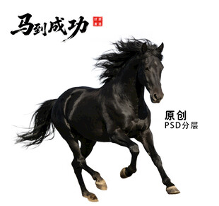 济南十年广告人服务全流程