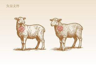 手绘羊插画