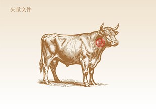 手绘牛素描插画版画