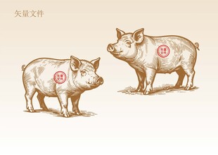 手绘猪