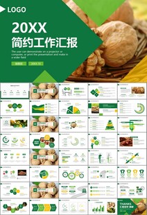 精美核桃种植产业总结计划ppt