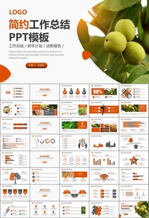 精美核桃种植产业总结计划ppt