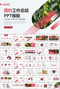 精美核桃种植产业总结计划ppt