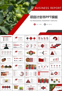 精美核桃种植产业总结计划ppt