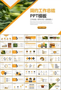 精美核桃种植产业总结计划ppt
