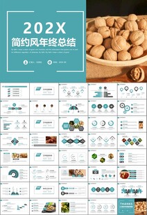 精美核桃种植产业总结计划ppt