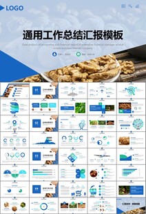 精美核桃种植产业总结计划ppt