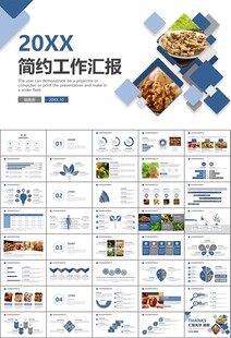 精美核桃种植产业总结计划ppt