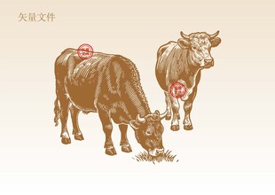 牛素描插画