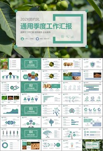 精美核桃种植产业总结计划ppt