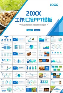 精美核桃种植产业总结计划ppt