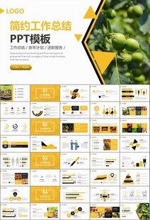 精美核桃种植产业总结计划ppt