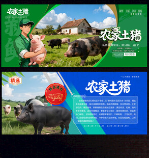农家土猪