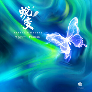 蝴蝶蜕变