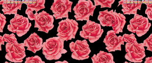 粉色玫瑰图案背景