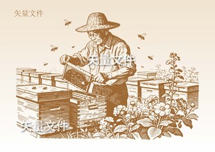 手绘蜂农素描 取蜜插画