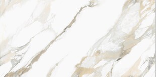 白色鱼肚金大理石石纹