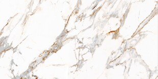 白色鱼肚金大理石石纹