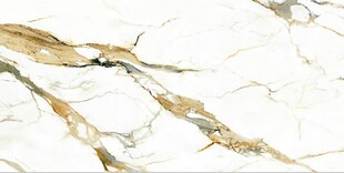白色鱼肚金大理石纹