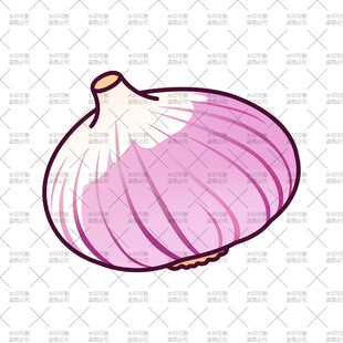 手绘紫皮洋葱插画