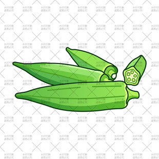新鲜秋葵插画