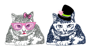 时尚猫咪插画
