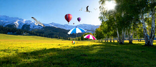 公园草地风景画