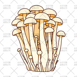金针菇插画