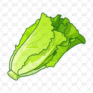 卡通生菜插画