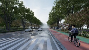 城市骑行者穿行林荫道路