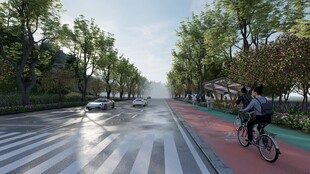 城市道路上的骑行者