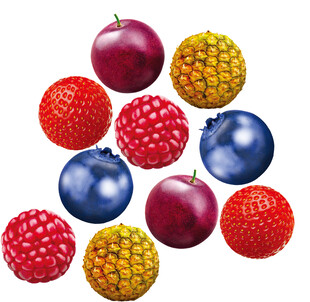 凤梨 莓子 百香果 草莓 蓝莓