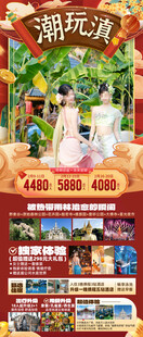 新年春节云西双版纳旅游海报