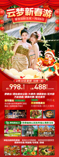 新年春节云西双版纳旅游海报