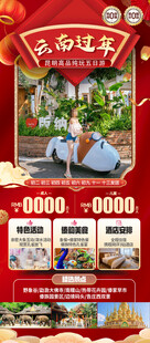 新年春节云西双版纳旅游海报