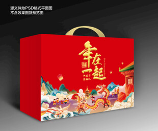 春节包装 年货礼盒