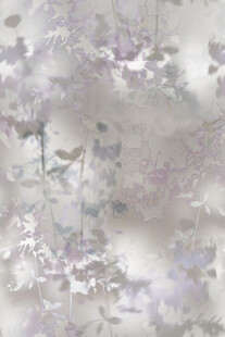 梦幻淡紫色花卉背景图