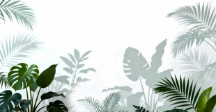 雾气磨砂膜效果绿植贴图