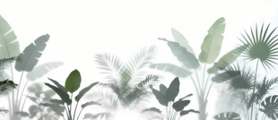 雾气磨砂膜效果绿植贴图