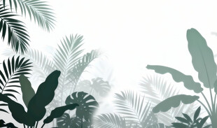 雾气磨砂膜效果绿植贴图